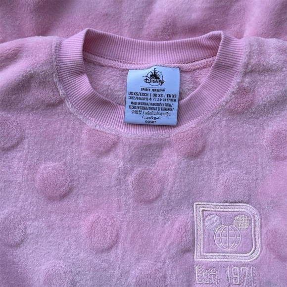 Walt Disney World Piglet Fuzzy Polka Dot Spirit Jersey Womens XS Cozy Aurora - Picture 4 of 5